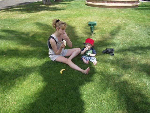 azedmompicnicjpg