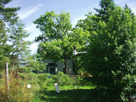 landscaping04